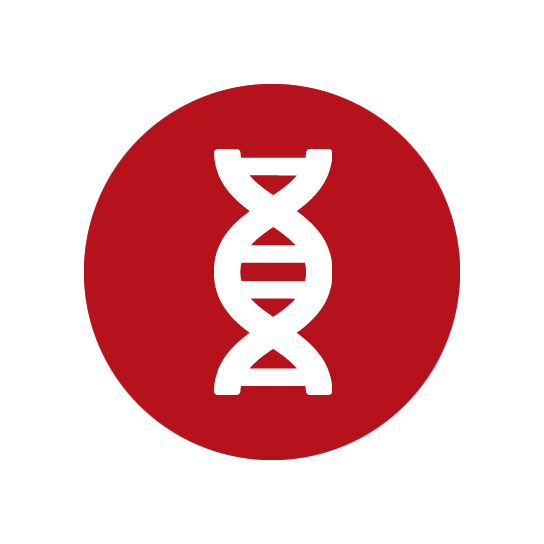 CCI-030-01 Your Firm Foundation — Development Infrastructure of a Cause 